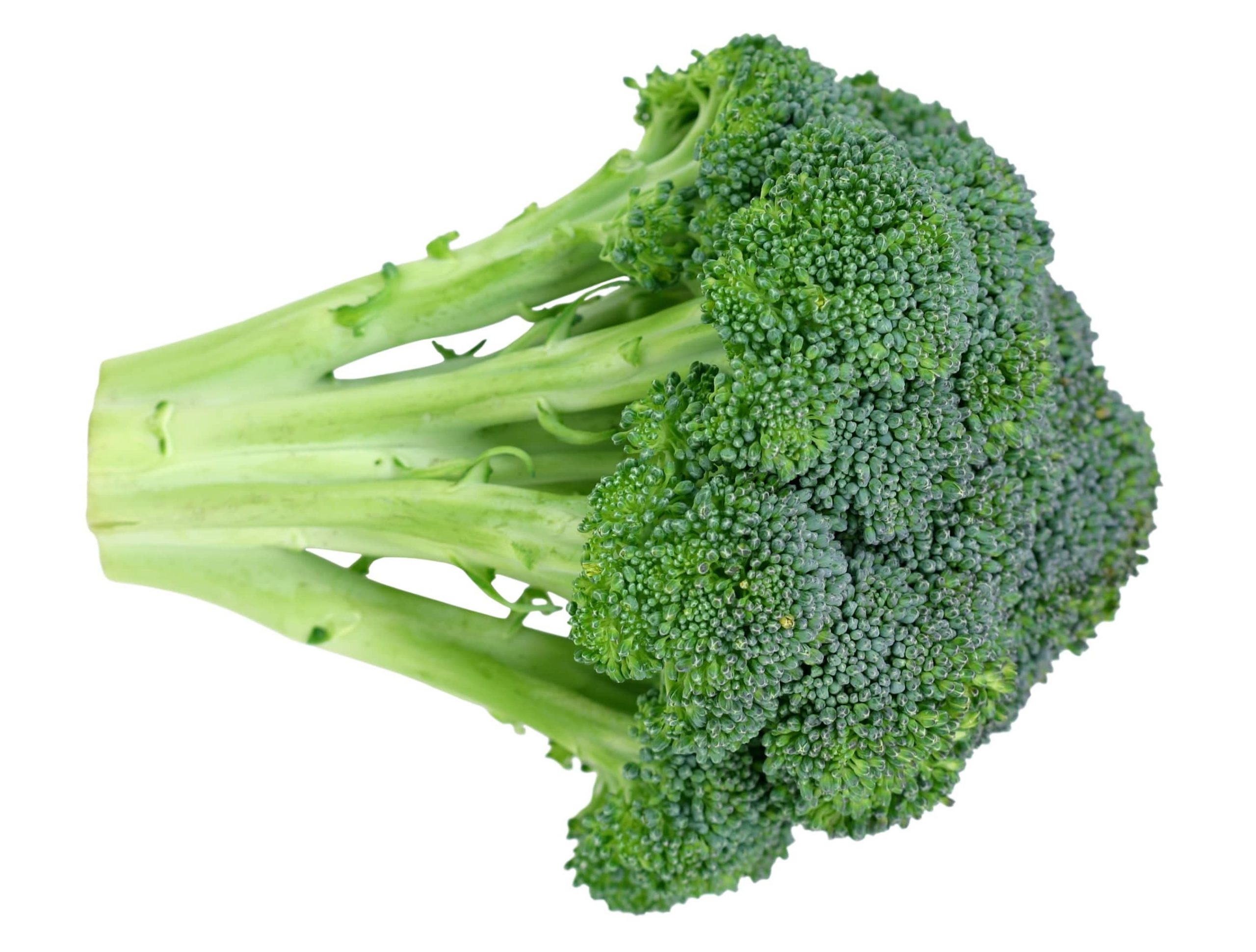 brocoli